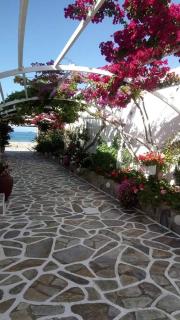 Mare Monte - Ios Chora - 5