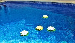 Casa Rural del Puerto de San Vicente - 2