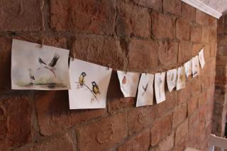 Kakukkfu Barlang-Vendeghaz - 6