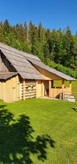 Holiday house Žvan na Pokljuki - Bohinj - 4