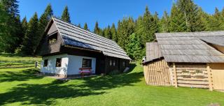 Holiday house Žvan na Pokljuki - Bohinj - 5
