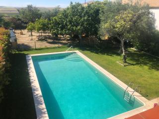 Vivienda Rural Olivar de San Telmo - Arcos de la Frontera - 9