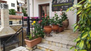Chrysandra - Karpenísi - 2