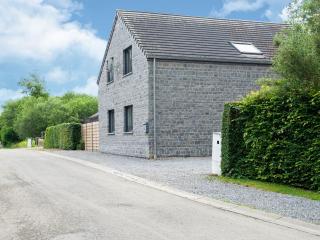 Villa in Durbuy near Forest and River - Durbuy - 2
