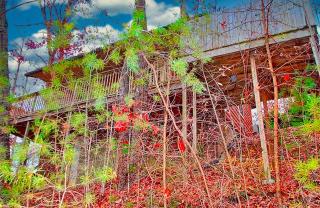 Blue Ridge Views - Gatlinburg - 2