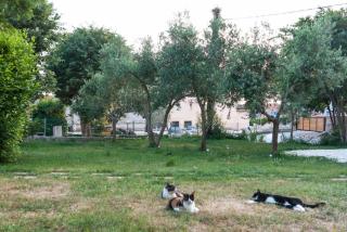 Villa Mediterranea - Apartments - 6