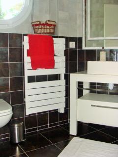 Entre montagnes et lac - 5