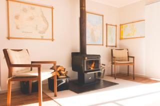 Echidna on Bruny - 4