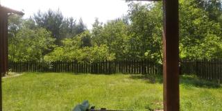 Białowieża Spanie na sianie Puszcza Białowieska - 2