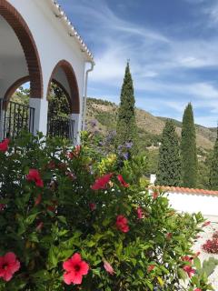 Villa Rafaela - Frigiliana - 5