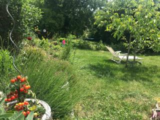 Ferienwohnung Sterntaucher - 2