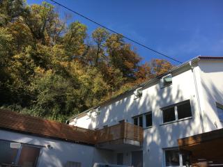 Ferienwohnungen Lamisto am Waldesrand - Neckartenzlingen - 0