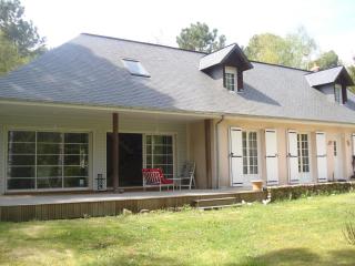 B&B La Forêt de Charmeuse - Ruaudin - 1