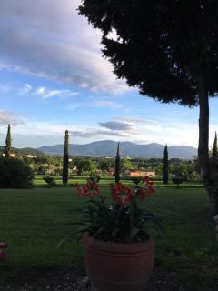 Relais Del Lago - Capannori - 2