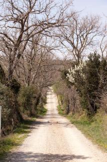 La Fondona - Campagnatico - 8
