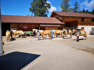 Sonnenparadies - 9