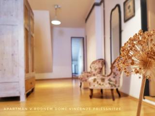 Apartmá v Rodném domě Vincenze Priessnitze v centru lázní - Jeseník - 5