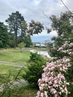 Larvik Pensjonat - Larvik - 2