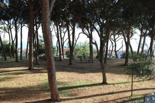 Maremma Holidays - Lamarmora Apartment - Follonica - 0