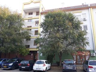 Pipacs - 6