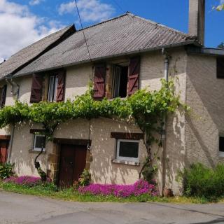 Maison familiale coteaux de la Vézère - Voutezac - 0