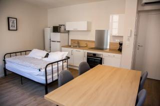 ALBIAPPART VIGAN centre ville - 0