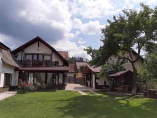 Vila Nicolai - Cristian - 0