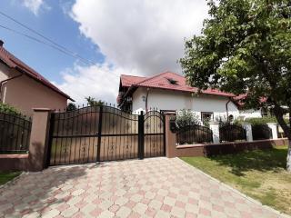 Vila Nicolai - Cristian - 9