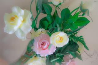 no 4 Cnoc Na Si Dublin Road - 1