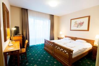 Orchidea Hotel Lipót - Lipót - 1