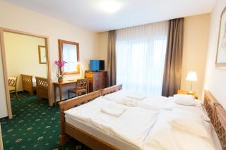 Orchidea Hotel Lipót - Lipót - 5