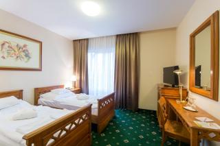 Orchidea Hotel Lipót - Lipót - 4