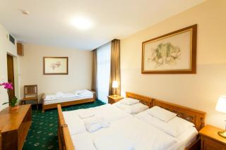 Orchidea Hotel Lipót - Lipót - 3