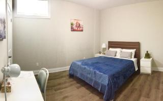 Charming, Comfortable Bsmt Apartment in Pickering - 3