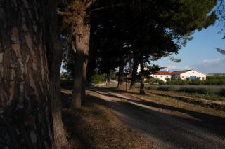 Casetta Don Carlino - Campomarino - 2