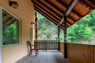 Pensiunea Sanziana - Gura Râului - 9