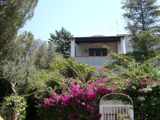 Villa Matisse - Damecuta Park - Anacapri - 1