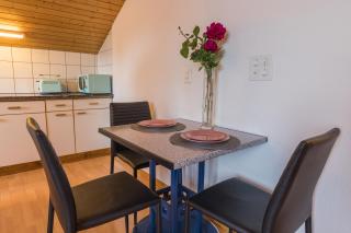 Swiss Mountains Apartments - Interlaken - 4