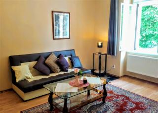 Apartment Sense of Zizkov - Prague - 8