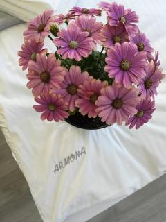 Armona - Ustka - 4