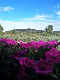 B&B L'Asfodelo - Villa San Pietro - 3