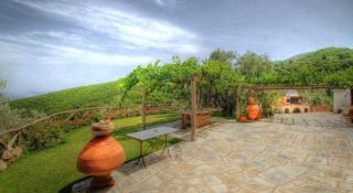 Villa Armonia - Neochori - 3