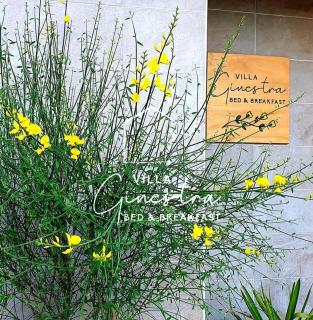 B&B Villa Ginestra - Pescara - 1