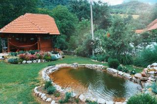 Šum Rzava - Arilje - 1