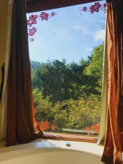 Pousada Vinhas do Pinhal - 5