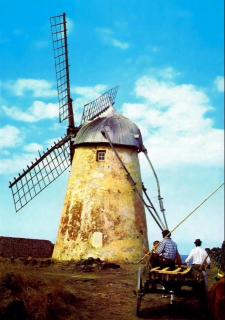 Wellshouses - Capelas - 8