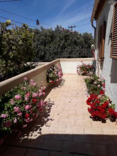 Phaistos Country House - 2