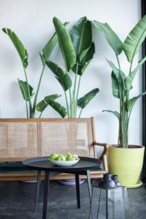 Harbour Suites Fethiye - 2