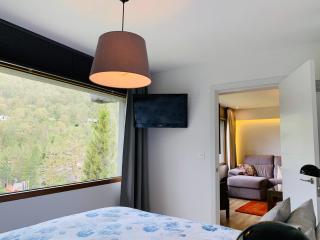Apartamento con encanto Puerto de Navacerrada - 4