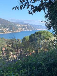 Lakshmi House - Rapallo - 6